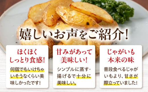  ジャガイモ じゃがいも 季節の野菜 詰め合わせ 北海道 