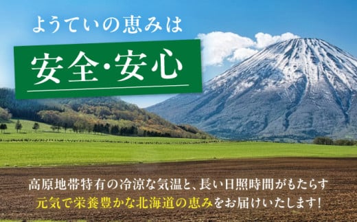  新じゃがいも 食べ比べセット 計20kg（男爵芋・キタアカリ各10kg）《喜茂別町》【Aコープようてい】 ジャガイモ じゃがいも 季節の野菜 詰め合わせ 北海道 [AJAK014] 14000 14000円