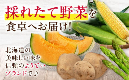  新じゃがいも 食べ比べセット 計20kg（男爵芋・キタアカリ各10kg）《喜茂別町》【Aコープようてい】 ジャガイモ じゃがいも 季節の野菜 詰め合わせ 北海道 [AJAK014] 14000 14000円