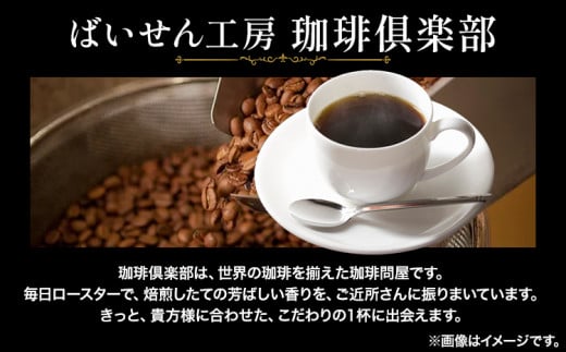 本格アイスコーヒー用 珈琲豆 飲み比べセット 200g×2袋（挽）古墳珈琲 ドリップバッグ 1袋 株式会社ばいせん工房 珈琲倶楽部《30日以内に出荷予定(土日祝除く)》大阪府 羽曳野市 コーヒー 豆 コーヒー豆 アイスコーヒー マイルド豆 特選豆