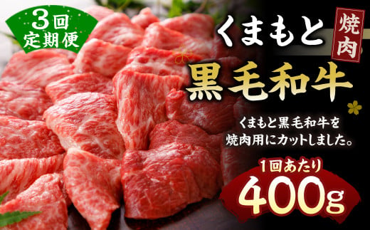 まもと黒毛和牛 焼肉 400g 定期便3回