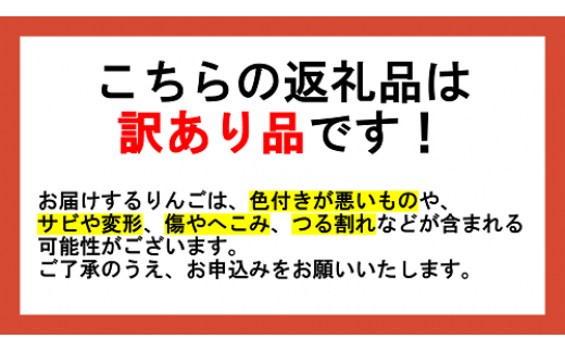 りんご 農家応援企画 冬のりんご 【 12月 】 訳あり ～ 家庭用 3kg ※2022年12月より順次発送予定 ※沖縄および離島への配送不可 長野県 飯綱町 [1115]