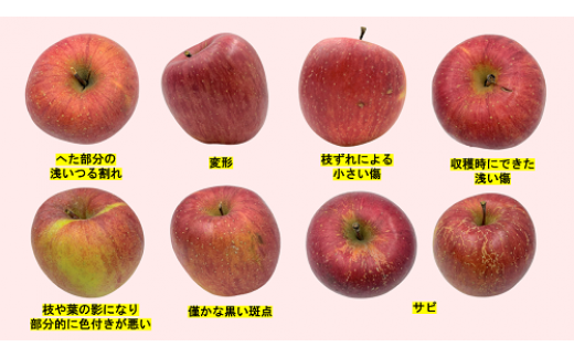 りんご 農家応援企画 冬のりんご 【 12月 】 訳あり ～ 家庭用 3kg ※2022年12月より順次発送予定 ※沖縄および離島への配送不可 長野県 飯綱町 [1115]