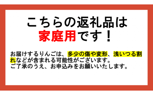 りんご 農家応援企画 冬のりんご 【 12月 】 訳あり ～ 家庭用 3kg ※2022年12月より順次発送予定 ※沖縄および離島への配送不可 長野県 飯綱町 [1115]