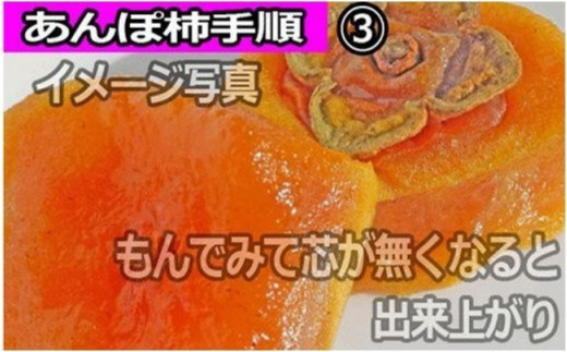 【県認定エコファーマー】あんぽ柿用生渋柿（平たねなし柿） 約14.5～15kg-AP【10月下旬から11月上旬発送】【art002A】