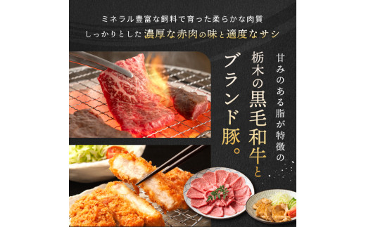 【定期便6回】とちぎ和牛焼肉用 800g | 和牛切り落とし 黒毛和牛 切り落とし 栃木県産黒毛和牛 焼肉 バーベキュー BBQ  肉 牛肉 高級 ご褒美 共通返礼品 ふるさと納税 栃木県 那珂川町 送料無料