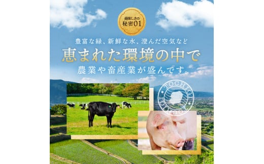 【定期便6回】とちぎ和牛焼肉用 800g | 和牛切り落とし 黒毛和牛 切り落とし 栃木県産黒毛和牛 焼肉 バーベキュー BBQ  肉 牛肉 高級 ご褒美 共通返礼品 ふるさと納税 栃木県 那珂川町 送料無料