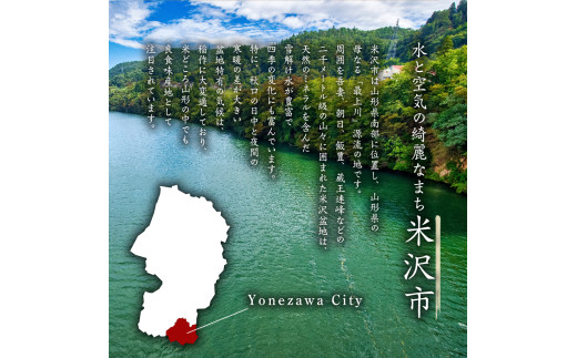 《 新米 》【 3ヶ月定期便 / 令和6年産 新米 】 はえぬき 計 20kg /月 ( 5kg × 4袋 ) 2024年産 山形県 精米 米 白米 お米 ブランド米 お米マイスター 厳選米 山形県 米沢市 送料無料