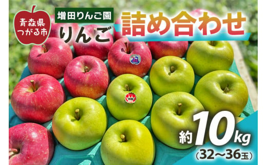 りんご 詰め合わせ 約10kg(32～36玉) 青森産 つがる市【2024年11月下旬より順次発送】｜青森県産 津軽 つがる リンゴ 果物 サンふじ サンフジ ふじ 王林 おうりん オウリン 青森りんご りんご 詰合せ りんごセット ギフト 贈り物 [0610]