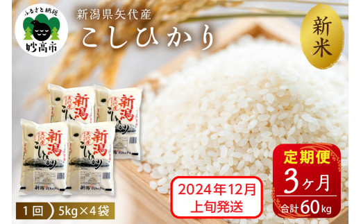 【2024年12月上旬発送】【定期便】令和6年産 新潟県矢代産コシヒカリ20kg(5kg×4袋)×3回（計60kg）