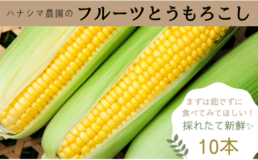 生で食べれるほどの新鮮さと甘さ！フルーツとうもろこし【10本入箱】