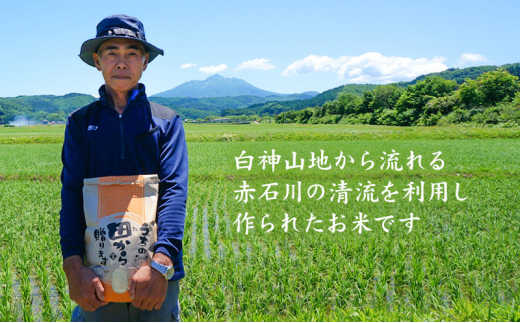 新米 定期便 6ヶ月 令和6年産 無洗米 まっしぐら 5kg 1袋 米 白米 こめ お米 おこめ コメ ご飯 ごはん 令和6年 山下農園 6回 半年 お楽しみ 青森 青森県