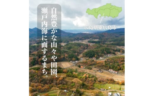 【定期便】 5kg 【6ヵ月連続お届け】 計30kg 広島県産 お米マイスター厳選米 【出荷直前精米】