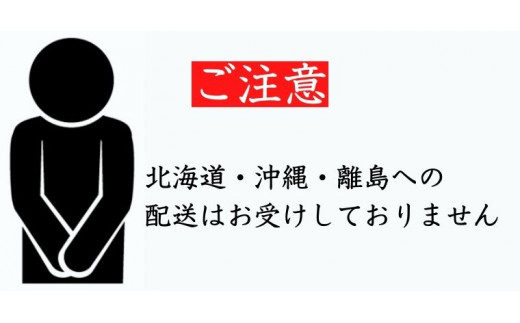 30-06 甘み際立つ濃厚風味のご褒美アイス NOUKAの濃恋いちご 6個セット