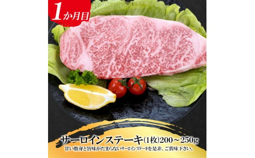 福岡県産　黒毛和牛 A4ランク以上の博多和牛！ 3か月定期便　Cコース【牛肉 肉 博多和牛 和牛 黒毛和牛 A4 国産 福岡 九州 博多 福岡県 大任町 Z003】