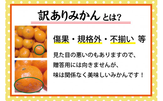 【訳あり】農家直送 有田みかん 約10kg 先行予約 ご家庭用 サイズ混合 ※2024年11月中旬より順次発送予定（お届け日指定不可）訳ありみかん 温州みかん 有機質肥料100%【nuk138C】