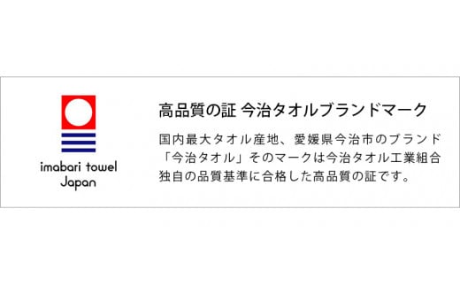 （今治タオルブランド認定品）今治タオル 速乾Daily フェイスタオル4枚セット＜ミストブルー＞ヒオリエ  【I001220MBL】