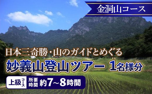 《上級コース》日本三奇勝・山のガイドとめぐる妙義山登山ツアー【金洞山コース】 (1名様分)  日本三奇勝 妙義山 登山 山岳 ツアー 上級 ガイド付き 観光 F21E-209