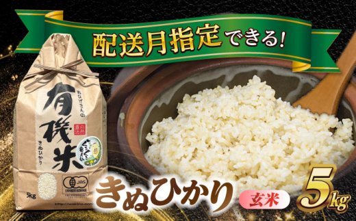 【7月発送】【有機米】　きぬひかり　玄米　5kg　米　お米　ご飯　愛西市/脇野コンバイン [AECP020-10]