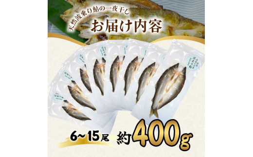 天然波乗り鮎の一夜干し 約400g 6～15尾 干物 一夜干し 鮎 天然 熟成 あゆ アユ 天然鮎 清流 海部川 川魚 簡単調理 冷凍