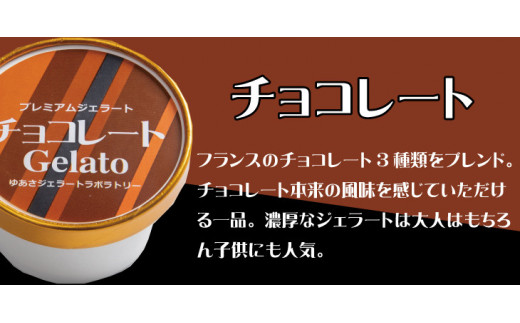 プレミアムジェラート チョコレート12個セット アイスクリームセット 100mlカップ ゆあさジェラートラボラトリー【kstb700-03】