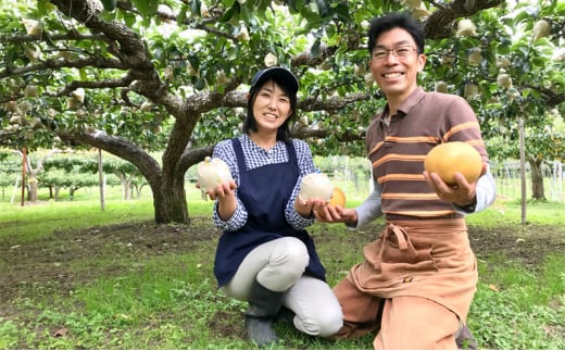 GAP認証取得　もぎたて！特選幸水　約5kg (大玉9～12個入り）梨