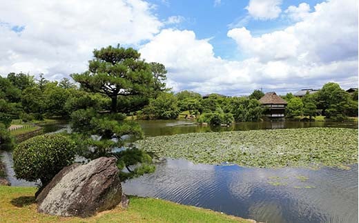 【土・日・祝・月 限定】初代津山城主 森忠政公ゆかりの地を観光ガイドと巡る&肉のまち津山で極上の肉まぶしランチを楽しむ 体験 イベント ツアー TY0-0752