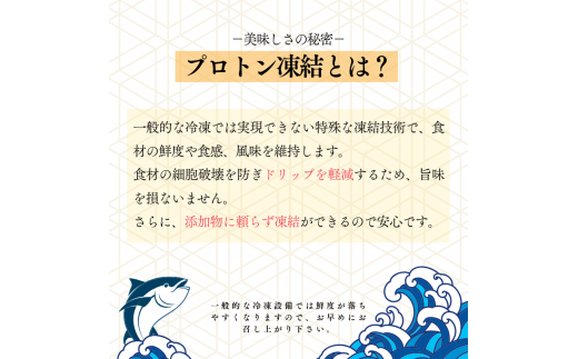 【年末発送予約受付中】幻の高級魚 くえ 天然クエ鍋セット 3人前900g 【個体10kg未満】【2024年10月上旬～2025年2月下旬に順次発送】 / クエ クエ鍋 天然 魚 魚貝 海鮮　【tcr010-sg】