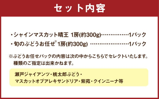 岡山県産 ぶどう パック詰合せ ※2種2パックセット 【2024年11月上旬～11月下旬発送予定】