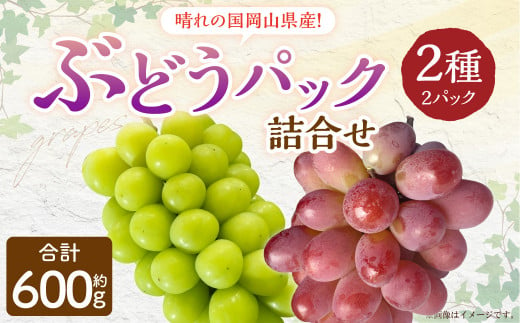 岡山県産 ぶどう パック詰合せ ※2種2パックセット 【2024年11月上旬～11月下旬発送予定】