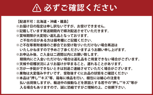 岡山県産 ぶどう パック詰合せ ※2種2パックセット 【2024年11月上旬～11月下旬発送予定】