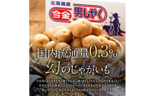 今金男しゃく（Lサイズ）約10kg【GI認証取得】 じゃがいも 男爵 いも だんしゃく 野菜 幻 北海道 今金町 GI認証 Lサイズ 10kg F21W-287 クラウドファンディング 実施中 GCF