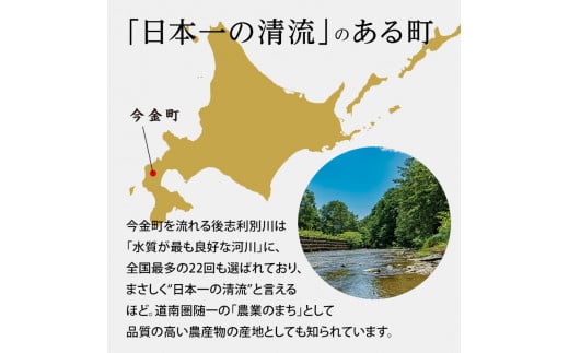 今金男しゃく（Lサイズ）約10kg【GI認証取得】 じゃがいも 男爵 いも だんしゃく 野菜 幻 北海道 今金町 GI認証 Lサイズ 10kg F21W-287 クラウドファンディング 実施中 GCF