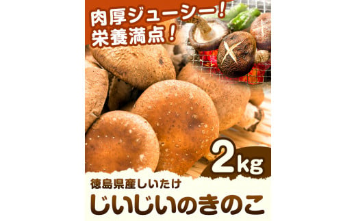 じいじいのきのこ 2kg しいたけ《30日以内に出荷予定(土日祝除く)》一般社団法人美馬観光ビューロー 徳島県 美馬市 生しいたけ(菌床) 特産品 美馬市産 シイタケ 椎茸 揚げ物 煮物 鍋料理 BBQ 野菜 肉厚 送料無料