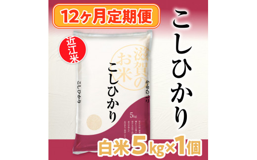 12ヶ月定期便 近江米 こしひかり 白米５kg  BD17