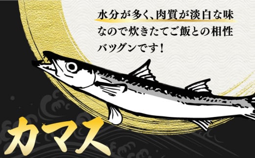 【全6回定期便】【訳あり】干物詰め合わせ30枚入(アジ カマス サバ 3種各5枚×2袋) 長崎県/長崎県漁業協同組合連合会 [42ZZAC018] 訳アリ 魚 海産物