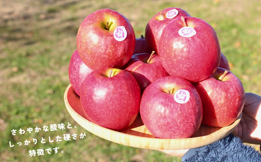 PL06-25A ピンクレディー®希少なりんご 約2.7kg（大きめサイズ）／2025