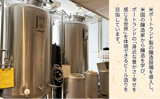 《1番人気》MAKUHARI BREWERY 3銘柄／計6本セット 定期便6回 幕張ブルワリー クラフトビール [№5346-0947]