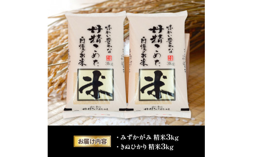 白米 食べ比べ セット 2種 6kg ( 3kg × 2袋 ) みずかがみ きぬひかり 令和5年産 近江米 国産 滋賀県産 農家直送 産地直送 ミズカガミ キヌヒカリ 食べくらべ たべくらべ おいしい お米 おこめ 白飯 しろめし 御飯 ごはん ご飯 