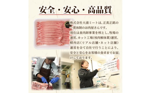  ★選べる配送月★【3月発送】三田ポーク ロースしゃぶしゃぶ用 1.2kg(400ｇ×3パック）《 豚肉 ふるさと納税 セット ロースしゃぶしゃぶ 小分け 豚しゃぶ しゃぶしゃぶ肉 お取り寄せ お取り寄せグルメ 送料無料 》【2401A00210-03】