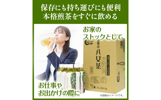 八女茶 煎茶ペットボトル 500ml×24本 株式会社親和園《30日以内に出荷予定(土日祝除く)》 お茶 緑茶 茶 八女茶 ペットボトル