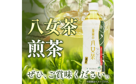 八女茶 煎茶ペットボトル 500ml×24本 株式会社親和園《30日以内に出荷予定(土日祝除く)》 お茶 緑茶 茶 八女茶 ペットボトル