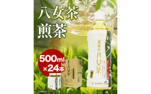 八女茶 煎茶ペットボトル 500ml×24本 株式会社親和園《30日以内に出荷予定(土日祝除く)》 お茶 緑茶 茶 八女茶 ペットボトル