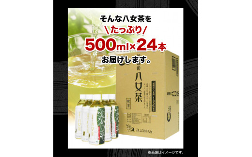 八女茶 煎茶ペットボトル 500ml×24本 株式会社親和園《30日以内に出荷予定(土日祝除く)》 お茶 緑茶 茶 八女茶 ペットボトル