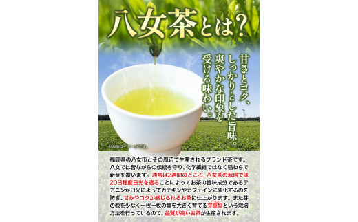 八女茶 煎茶ペットボトル 500ml×24本 株式会社親和園《30日以内に出荷予定(土日祝除く)》 お茶 緑茶 茶 八女茶 ペットボトル