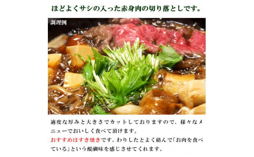 愛媛県西予市産　伊予牛絹の味西予どすこい牛　黒毛和牛切り落とし（モモ肉又はウデ肉）580g