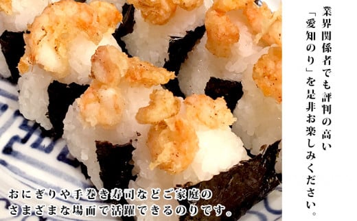 【訳あり】愛知の海が育ててくれた　はねだし焼きのり　100枚・M067-13
