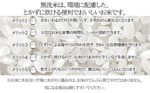 北海道 定期便 6ヵ月連続 全6回 令和6年産 ななつぼし 無洗米 2kg×3袋 計6kg 特A 米 白米 ご飯 お米 ごはん 国産 ブランド米 時短 便利 常温 お取り寄せ 産地直送 送料無料 [№5783-0484]