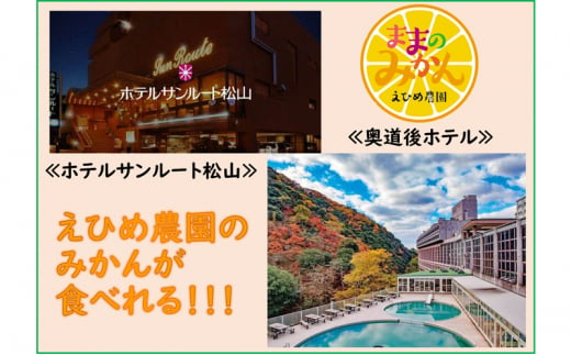 訳ありせとか　サイズ不揃い5キロ　家庭用 今が旬 甘い  農園直送 みかん 人気 数量限定 先行予約 柑橘 蜜柑 ミカン 愛媛みかん かんきつ 愛媛県 産地直送 フルーツ 果物 くだもの [№5310-0220]