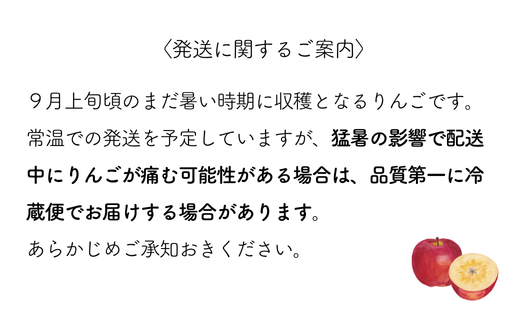 KR04-24A りんご すわっこ 贈答 約3kg / 9月上旬頃～配送予定 // 南信州産 長野県 りんご すわっこ 約3Kg